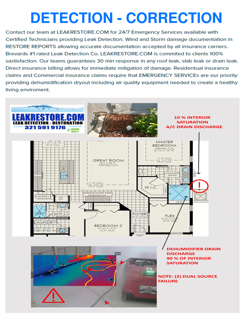 RESTORE REPORT IMAGERY PINPOINTS FAILURES